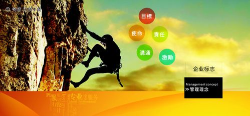 重庆市专业技术人半岛体育综合app员服务平台官网(重庆市专业技术人员职称查询)